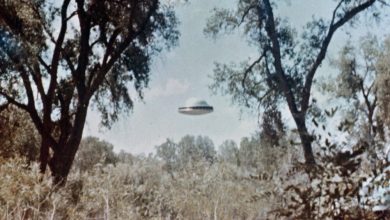 تحقیقات درباره اشیاء ناشناس پرنده در سال 2025 با چالشهای جدید مواجه شد / اشیاء ناشناس پرنده , تحقیقات علمی , فناوریهای پیشرفته , دانشگاه وورتسبورگ , پروژه گالیله