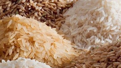 توزیع بیش از 7 هزارتن برنج تنظیم بازار در استان فارس / اخبار فارس - اخبار استانها