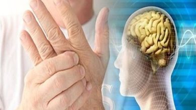 هشدار درباره افزایش نگرانکننده اماس در ایران؛ پیشگیری از مدرسه آغاز میشود / اخبار همدان - اخبار استانها