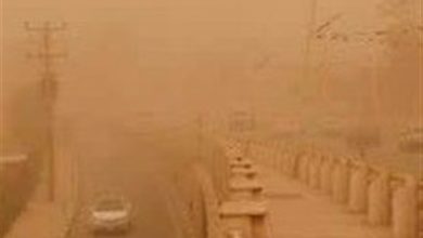 هوای شیراز برای گروههای حساس ناسالم شد/ اخبار فارس - اخبار استانها