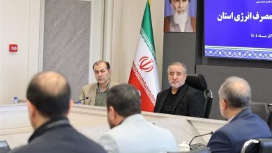 استاندار خراسان جنوبی: جدیت در مدیریت مصرف انرژی و استفاده از منابع جایگزین ضروری است / اخبار خراسان جنوبی - اخبار استانها