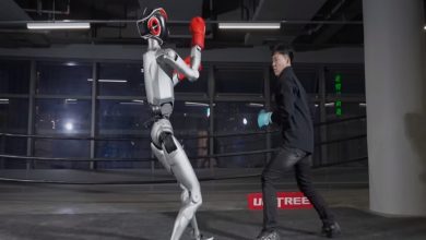 ویدئو | مبارزه ربات انساننما با سازندهاش در رینگ بوکس / ربات انساننما , Unitree Robotics , رباتیک , هوش مصنوعی , فناوری