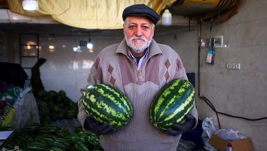 تشدید بازرسیهای شب یلدا در خراسان شمالی/ نظارت دوشیفته 20 تیم / اخبار خراسان شمالی - اخبار استانها