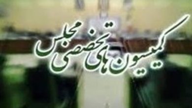 قیمتگذاری دستوری خودرو و حمایت از زنان در دستورکار مجلس / اخبار سیاسی روز , اخبار مجلس