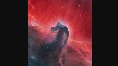 تصویر دیدنی ناسا از سحابی سر اسب / ناسا , سحابی سر اسب , ابر میانستارهای , تلسکوپ هابل , تصویر روز