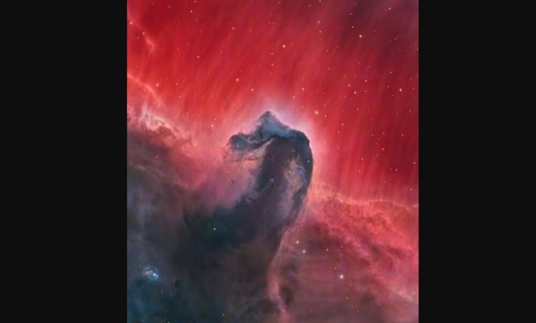 تصویر دیدنی ناسا از سحابی سر اسب / ناسا , سحابی سر اسب , ابر میانستارهای , تلسکوپ هابل , تصویر روز