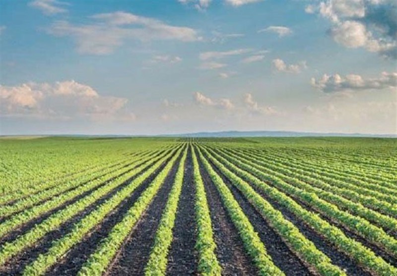 ثبت 56 هزار درخواست مجوز کسب‌وکار الکترونیکی در مازندران / اخبار مازندران - اخبار استانها