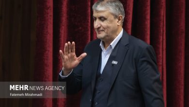 گرامیداشت روز دانشجو با حضور رئیس سازمان انرژی اتمی برگزار شد / روز دانشجو , سازمان انرژی اتمی , گرامیداشت , رئیس سازمان , انرژی هستهای