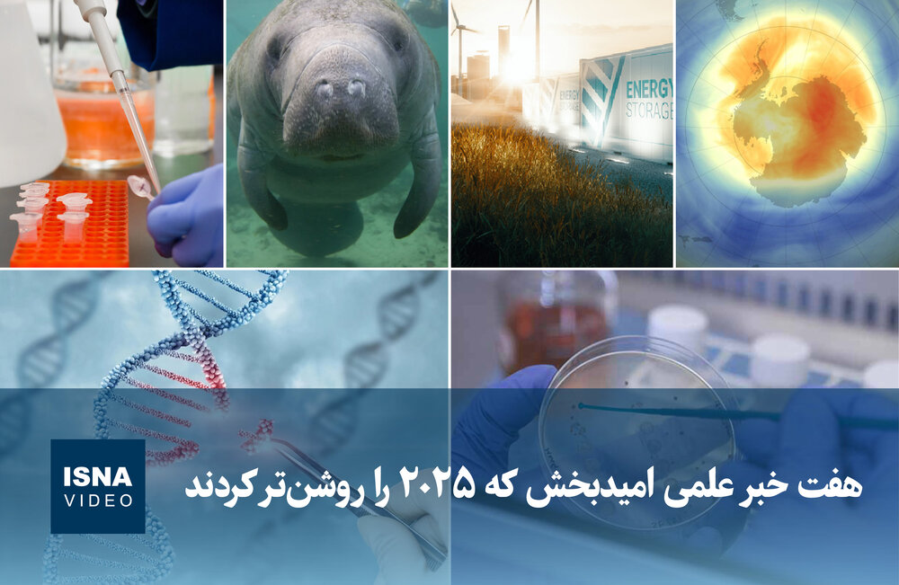 هفت خبر علمی امیدبخش که سال ۲۰۲۵ را روشن‌تر کردند / علمی , فناوری , پیشرفت , هوش مصنوعی , انرژی پاک