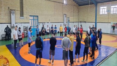 جهش فنی کشتی فرنگی کهگیلویه و بویراحمد با کارگاه تخصصی دانشافزایی+فیلم و عکس / اخبار کهگیلویه و بویراحمد - اخبار استانها