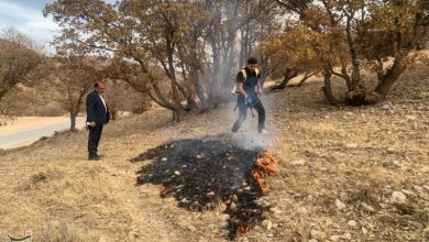رهان، ابداع یک جوان کهگیلویه و بویراحمدی برای نجات جنگلها از شعلههای آتش / اخبار کهگیلویه و بویراحمد - اخبار استانها