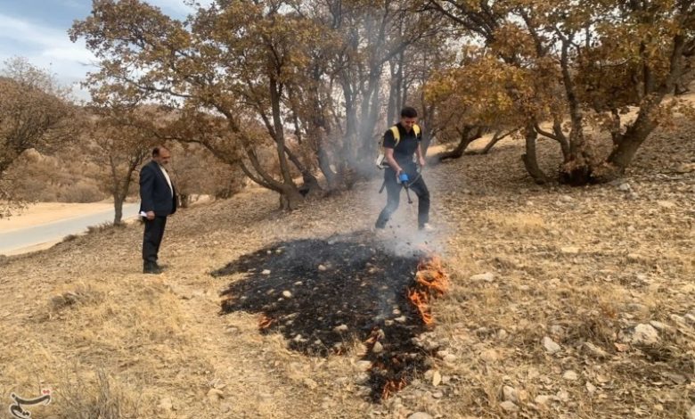 رهان، ابداع یک جوان کهگیلویه و بویراحمدی برای نجات جنگلها از شعلههای آتش / اخبار کهگیلویه و بویراحمد - اخبار استانها
