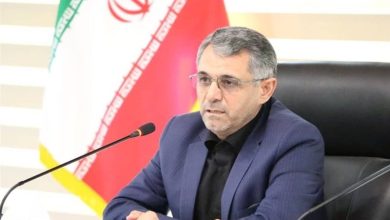 بدری: نباید بودجه فرهنگ قربانی بیتوجهی شود / اخبار سیاسی روز , اخبار مجلس