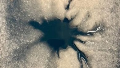 راز عنکبوت یخی اروپا: کشف فوران آب شور در قمر مشتری / اروپا، قمر مشتری، ناسا، فضاپیمای گالیله، آب شور , , , ,