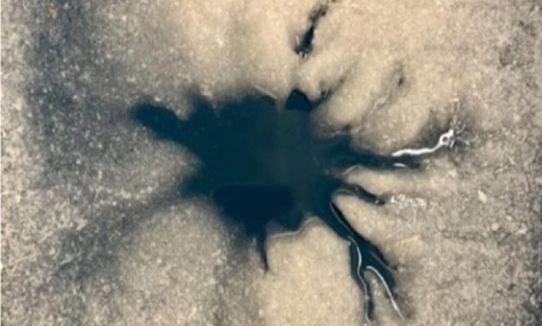 راز عنکبوت یخی اروپا: کشف فوران آب شور در قمر مشتری / اروپا، قمر مشتری، ناسا، فضاپیمای گالیله، آب شور , , , ,