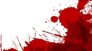 دستگیری عاملان قتل خانوادگی در گچساران / اخبار کهگیلویه و بویراحمد - اخبار استانها