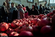 برخورد قاطع تعزیرات سیستان و بلوچستان با تخلفات شب یلدا / اخبار سیستان و بلوچستان - اخبار استانها