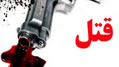 کارگروه ویژه بررسی 3 قتل اخیر در فارس تشکیل شد / اخبار فارس - اخبار استانها