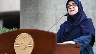 سخنگوی دولت: تثبیت قیمتها اشتباه بود/ این سیاست کسری بودجه و تورم را تشدید کرد / اخبار کرمان - اخبار استانها