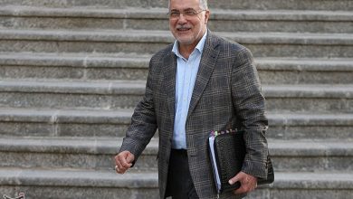 ظفرقندی: سهم ارز دارو افزایش مییابد / اخبار سیاسی روز , اخبار دولت