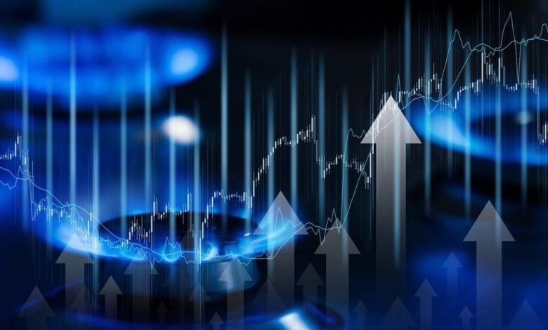 مصرف گاز خانگی در ایران به ۵۳۳ میلیون مترمکعب در روز رسید / مصرف گاز , گاز خانگی , شرکت ملی گاز , آذر ماه , صنایع جزء