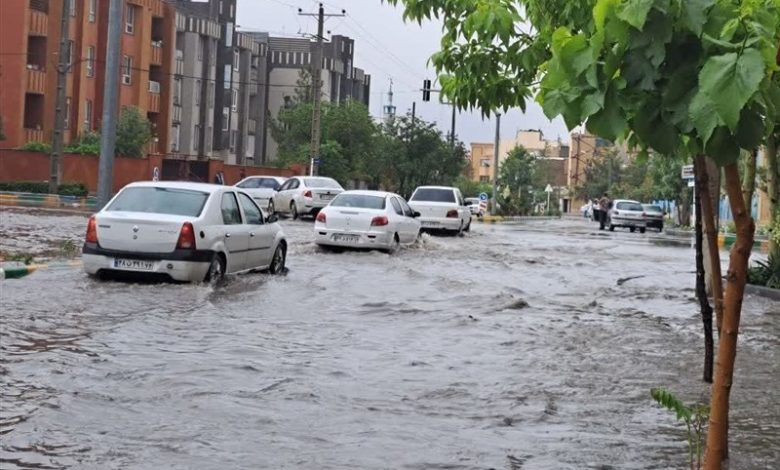 115.7 میلیمتر بارندگی در کردستان ثبت شد / اخبار کردستان - اخبار استانها