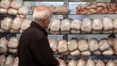 هر کیلو 200 هزار تومان؛ 'مرغ' در شیراز پرواز کرد / اخبار فارس - اخبار استانها