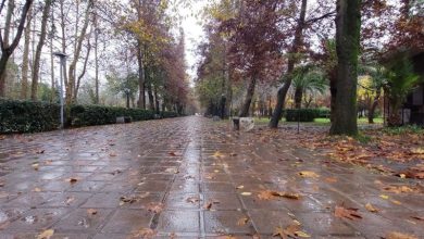 هشدار نارنجی در گیلان؛ بارشهای شدید، سیلابی شدن رودخانهها و یخبندان در راه است / اخبار گیلان - اخبار استانها