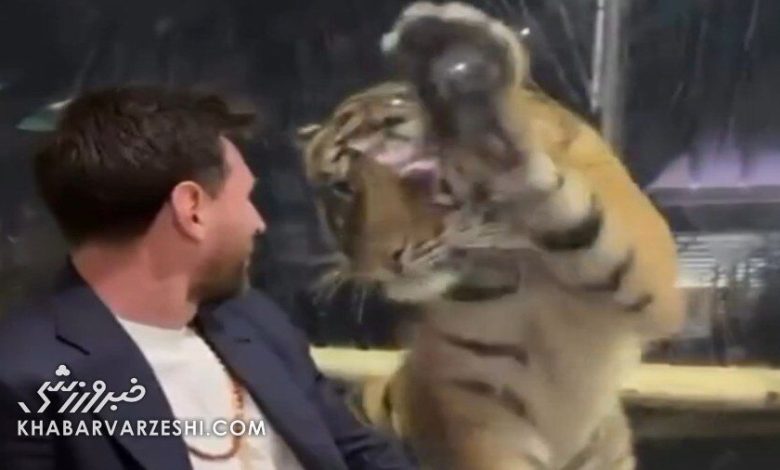 حضور لیونل مسی در باغ وحش هند خبرساز شد / لیونل مسی , فوتبال , هند , باغ وحش , تور