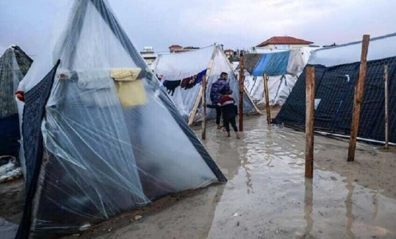 فاجعه انسانی در غزه: جان باختن ۱۷ نفر از جمله ۴ کودک بر اثر سرمای شدید / غزه , سرمای شدید , کمکهای بشردوستانه , بازسازی , فاجعه انسانی