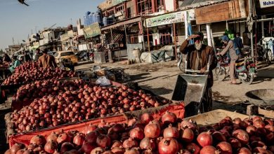 تعلیق تجارت، زندگی میلیونها نفر را در مرز افغانستان و پاکستان تحت تاثیر قرار داد / افغانستان , پاکستان , تجارت مرزی , روابط اقتصادی , کمکهای بشردوستانه