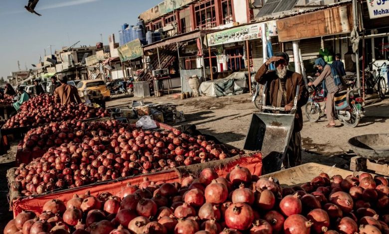 تعلیق تجارت، زندگی میلیونها نفر را در مرز افغانستان و پاکستان تحت تاثیر قرار داد / افغانستان , پاکستان , تجارت مرزی , روابط اقتصادی , کمکهای بشردوستانه