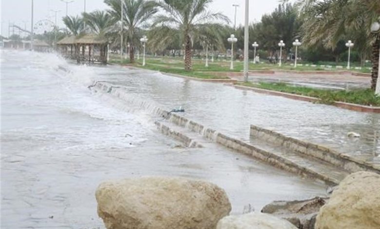 بیشترین بارش باران استان بوشهر مربوط به عسلویه و گناوه ثبت شد / اخبار بوشهر - اخبار استانها