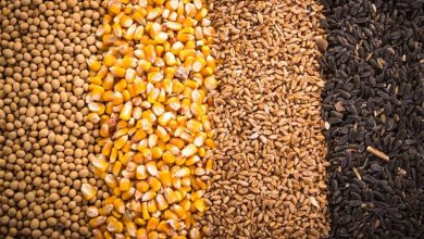 خضریان: وزارت جهاد کشاورزی جیب مردم را می زند / اخبار سیاسی روز , اخبار مجلس