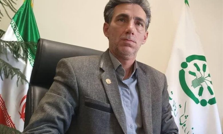 تامین و توزیع 41 هزار تن کود یارانهای بین کشاورزان استان مرکزی / اخبار مرکزی - اخبار استانها