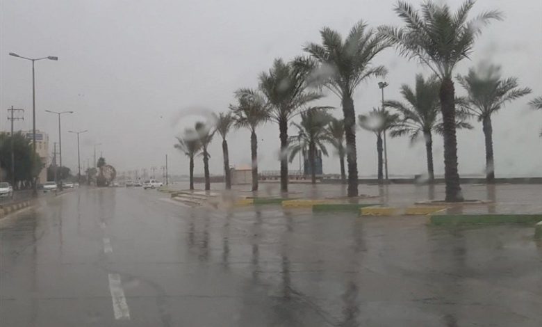 60 میلیمتر بارش باران در شمال استان بوشهر ثبت شد / اخبار بوشهر - اخبار استانها