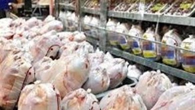 عرضه مرغ منجمد با قیمت 125 هزار تومان و نظارت مستمر بازرسان / اخبار فارس - اخبار استانها
