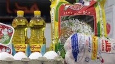 انتقاد یک نماینده از مصوبه دولت درباره واردات استانی کالاهای اساسی / اخبار سیاسی روز , اخبار مجلس