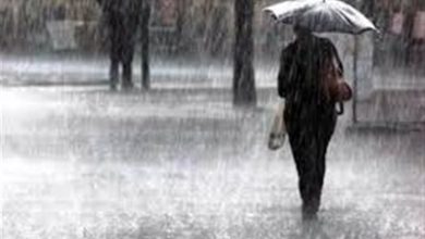 خراسان جنوبی در محاصره سرما و بارشهای سنگین/صدور هشدار نارنجی هواشناسی / اخبار خراسان جنوبی - اخبار استانها