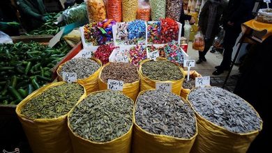 آغاز گشتهای مشترک ویژه شب یلدا در لرستان / اخبار لرستان - اخبار استانها