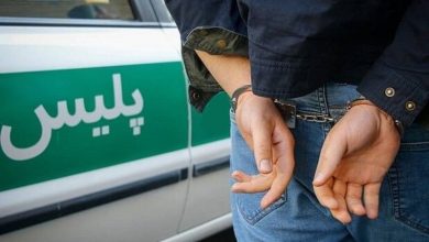 کشف دهها فقره سرقت و دستگیری متهمان تحت تعقیب در لرستان / اخبار لرستان - اخبار استانها