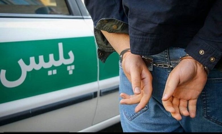 کشف دهها فقره سرقت و دستگیری متهمان تحت تعقیب در لرستان / اخبار لرستان - اخبار استانها