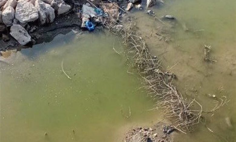 موضعگیری فرماندار سنندج؛ آب سد ژاوه آلوده است / اخبار کردستان - اخبار استانها