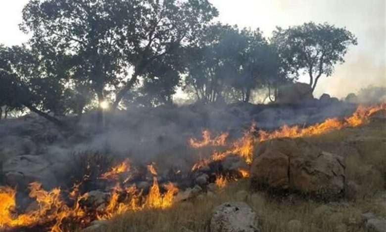 آتشسوزی جنگلهای عباسآباد مهار شد / اخبار مازندران - اخبار استانها