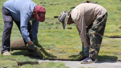 شایعه در شهر؛ دیدار تراکتور و پرسپولیس در بنیان دیزل برگزار می‌شود / اخبار آذربایجان شرقی - اخبار استانها