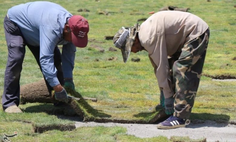 شایعه در شهر؛ دیدار تراکتور و پرسپولیس در بنیان دیزل برگزار می‌شود / اخبار آذربایجان شرقی - اخبار استانها