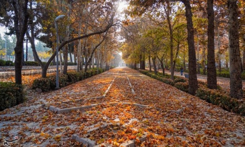 «آخر پاییز» در خراسان شمالی/ رقص رنگها در دامنه تا دشت+تصاویر / اخبار خراسان شمالی - اخبار استانها