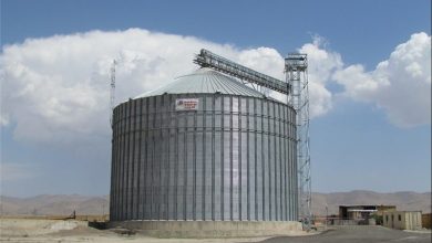 ایجاد سیلوی 20 هزارتنی گندم در غرب گلستان/صف‌های تحویل گندم کاهش می‌یابد / اخبار گلستان - اخبار استانها