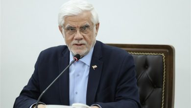 عارف: برنامه جامع توسعه همکاریهای ایران و افغانستان تهیه شود/ اخبار سیاسی , اخبار دولت