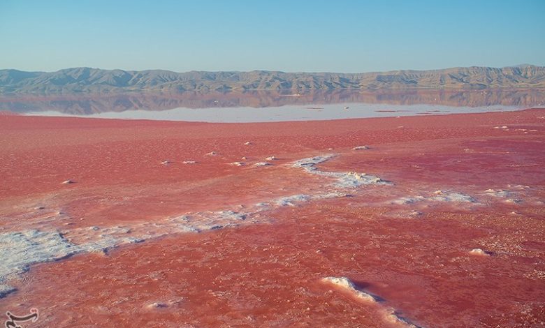 ساماندهی تالاب مهارلو با نگاهی همهجانبه صورت خواهد گرفت / اخبار فارس - اخبار استانها